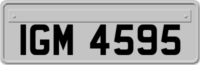 IGM4595