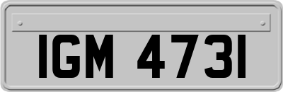 IGM4731