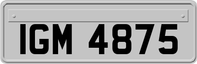 IGM4875