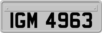 IGM4963