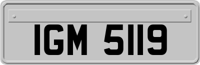 IGM5119