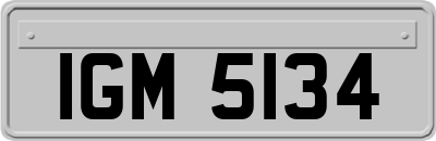 IGM5134
