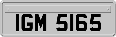 IGM5165