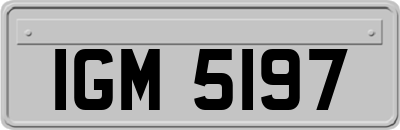 IGM5197