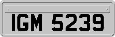 IGM5239