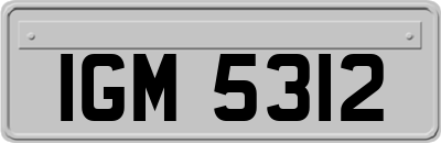 IGM5312