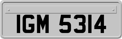 IGM5314