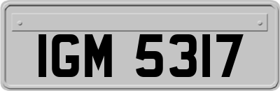 IGM5317