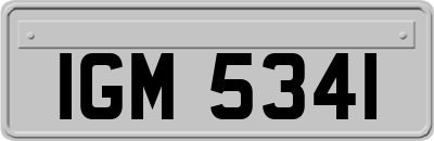 IGM5341