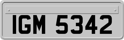 IGM5342