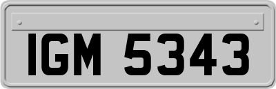 IGM5343