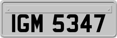 IGM5347