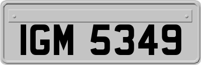 IGM5349