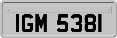 IGM5381