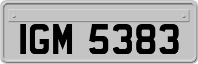 IGM5383