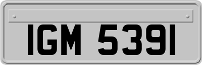 IGM5391