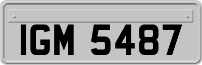 IGM5487