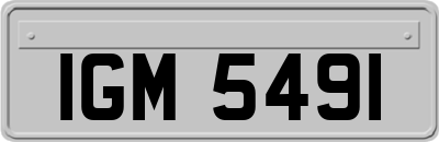 IGM5491