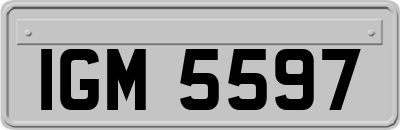 IGM5597