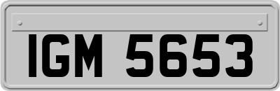 IGM5653