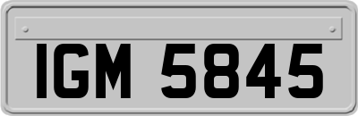 IGM5845