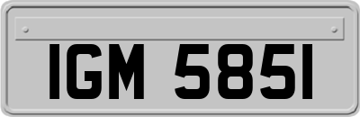 IGM5851