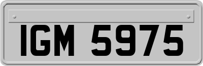 IGM5975