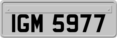 IGM5977