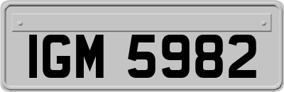 IGM5982