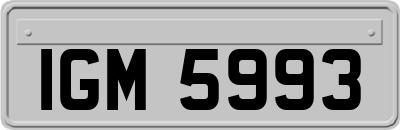 IGM5993
