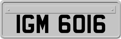 IGM6016