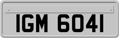 IGM6041
