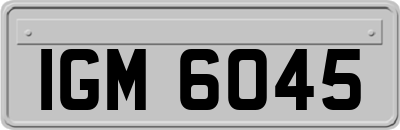 IGM6045