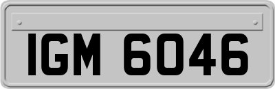IGM6046