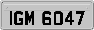 IGM6047