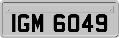 IGM6049