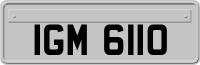 IGM6110
