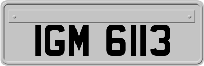 IGM6113