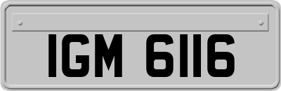 IGM6116