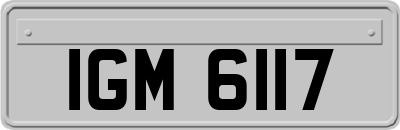IGM6117
