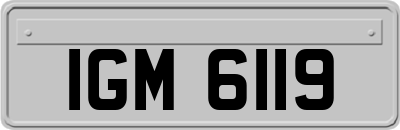 IGM6119