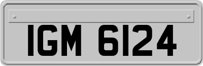 IGM6124