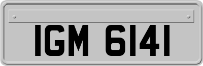 IGM6141