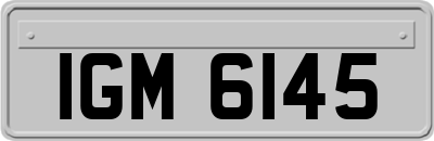 IGM6145