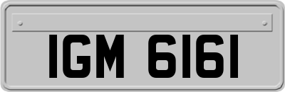 IGM6161