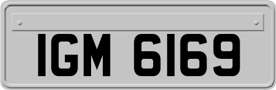 IGM6169