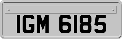 IGM6185