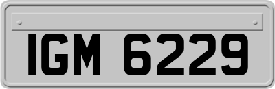 IGM6229
