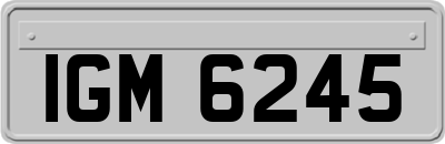 IGM6245