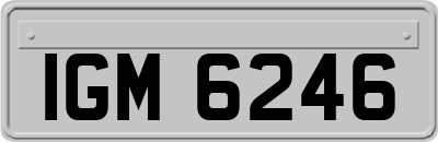 IGM6246